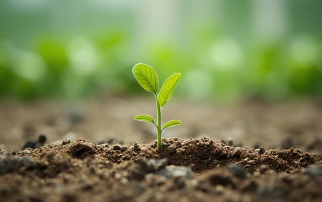 Motivasyon Nasıl Artırılır? Öğrenme İçin İpuçları 