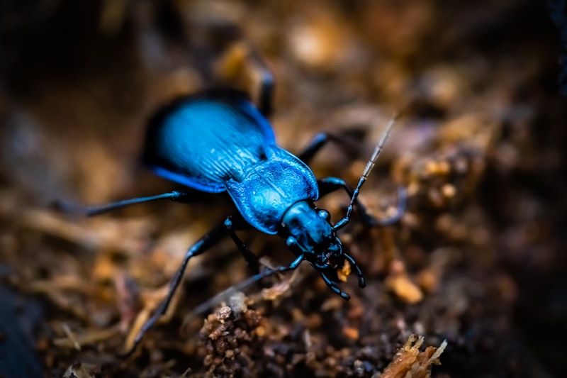 Türkiye'nin Gizli Cennetleri: Az Bilinen Seyahat Rotaları Türkiye'nin Gizli Cennetleri: Az Bilinen Seyahat Rotaları