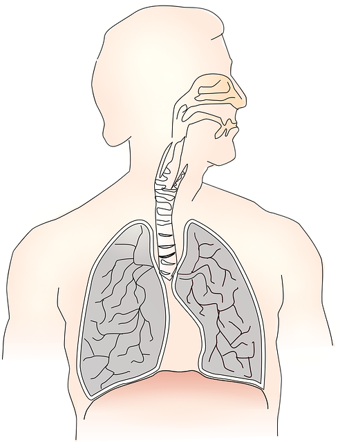 Akciğer Kanseri Belirtileri ve Erken Teşhis Yöntemleri Akciğer Kanseri Belirtileri ve Erken Teşhis Yöntemleri