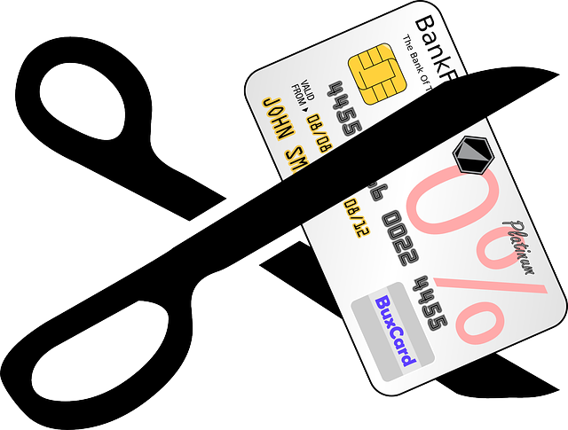 Kredi Kartı Borçlarından Kurtulmanın Yolları Kredi Kartı Borçlarından Kurtulmanın Yolları