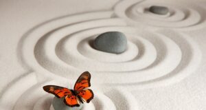 Minimalist Moda: Dolabınızı Azaltın, Stilinizi Artırın