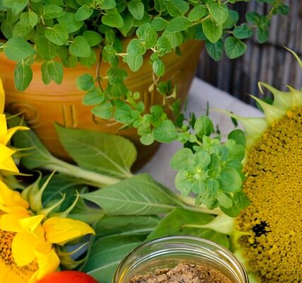 Vegan Yemek Tarifleri: Bitkisel Beslenme İle Sağlıklı Yaşayın Vegan Yemek Tarifleri: Bitkisel Beslenme İle Sağlıklı Yaşayın